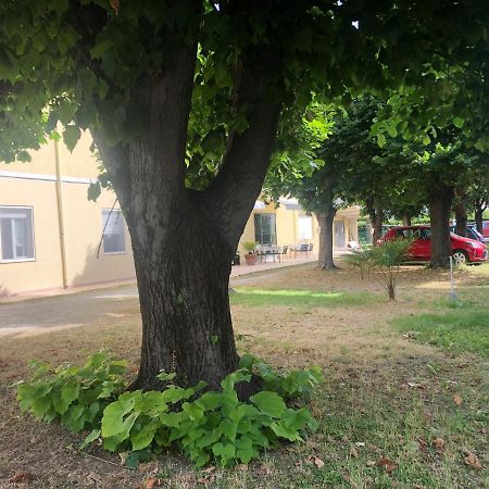 Hotel Argo Rimini Eksteriør billede