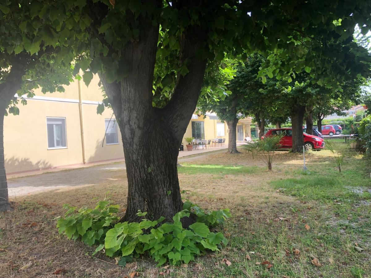 Hotel Argo Rimini Eksteriør billede